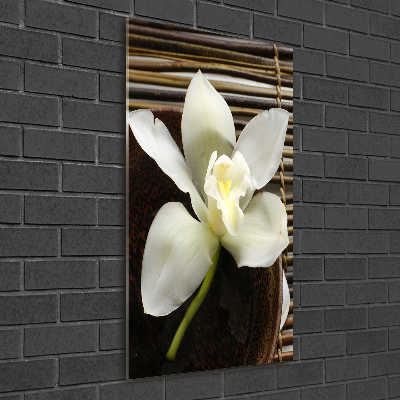 Quadro vetro verticale Orchidea