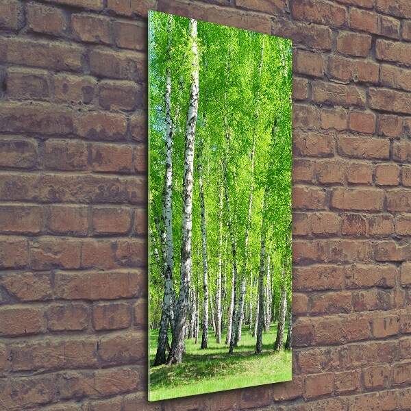 Quadro di vetro verticale Foresta di betulle