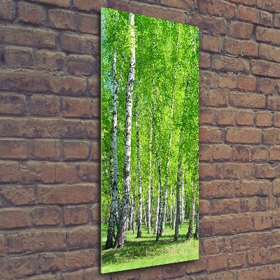 Quadro di vetro verticale Foresta di betulle