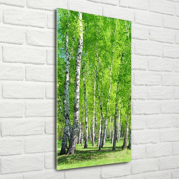 Quadro di vetro verticale Foresta di betulle