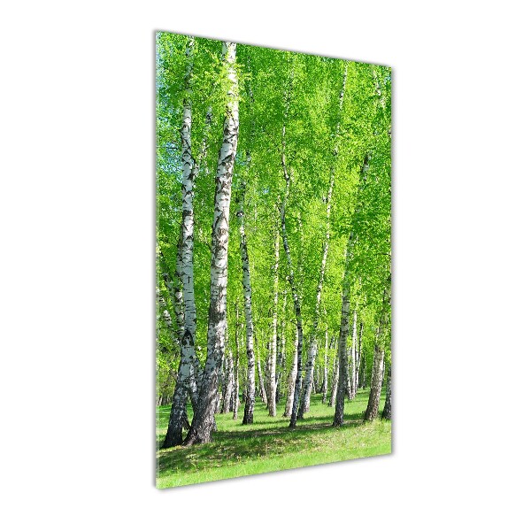 Quadro di vetro verticale Foresta di betulle