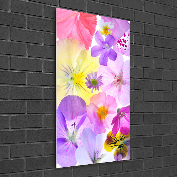Quadro vetro verticale Fiori colorati