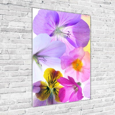 Quadro vetro verticale Fiori colorati