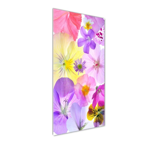 Quadro vetro verticale Fiori colorati