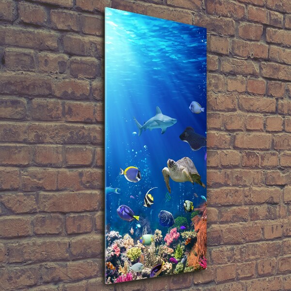 Quadro in vetro verticale Barriera corallina