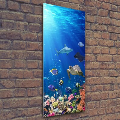 Quadro in vetro verticale Barriera corallina