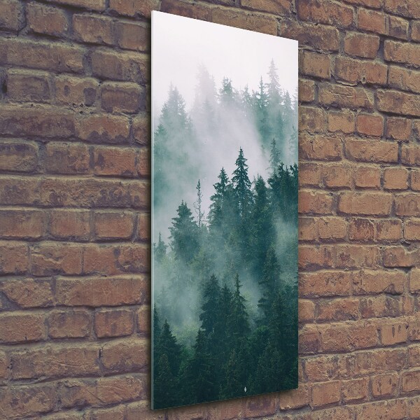 Quadro vetro verticale Nebbia sulla foresta