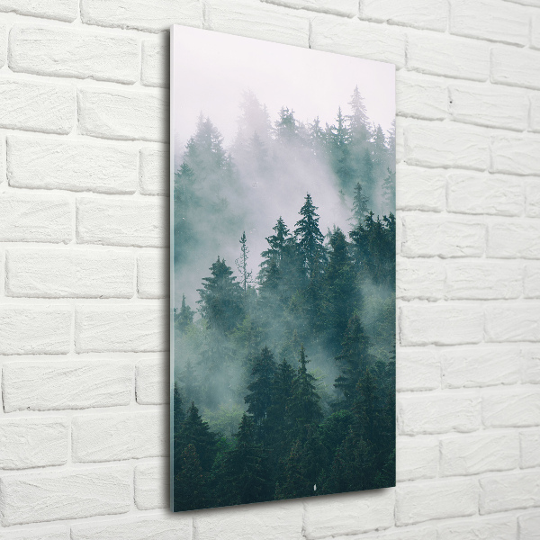 Quadro vetro verticale Nebbia sulla foresta