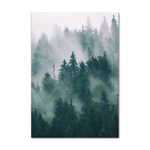 Quadro vetro verticale Nebbia sulla foresta
