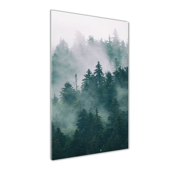 Quadro vetro verticale Nebbia sulla foresta