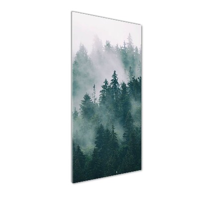 Quadro vetro verticale Nebbia sulla foresta