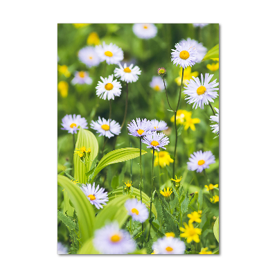Quadro di vetro verticale Margherite