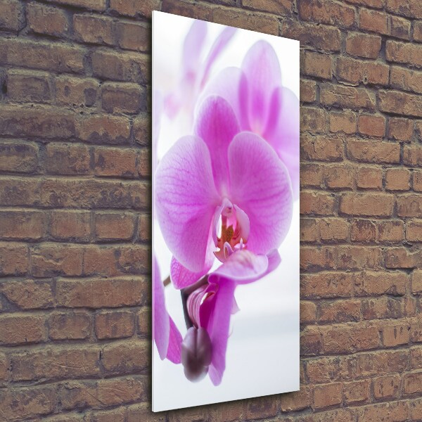 Quadro in vetro verticale Orchidea rosa