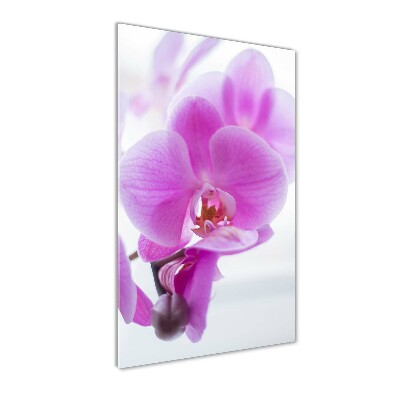 Quadro in vetro verticale Orchidea rosa