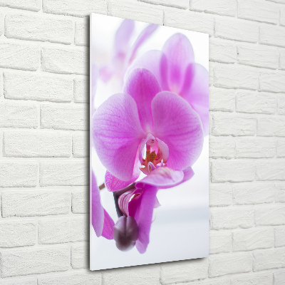 Quadro in vetro verticale Orchidea rosa