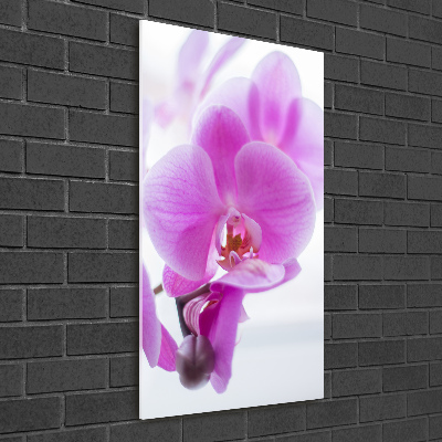 Quadro in vetro verticale Orchidea rosa