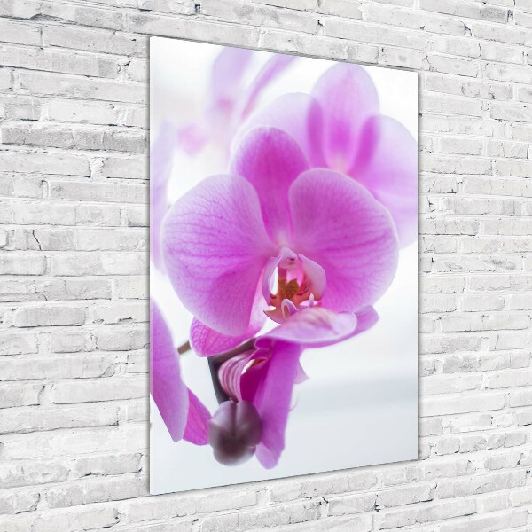 Quadro in vetro verticale Orchidea rosa