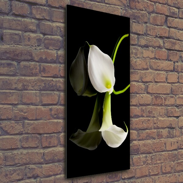 Quadro vetro verticale Calla bianca