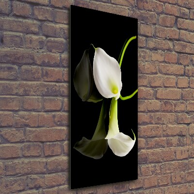 Quadro vetro verticale Calla bianca