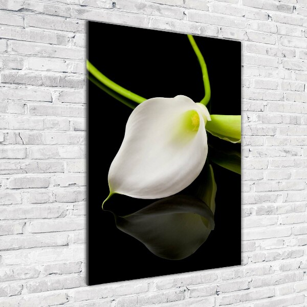 Quadro vetro verticale Calla bianca
