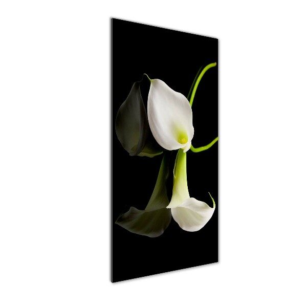 Quadro vetro verticale Calla bianca