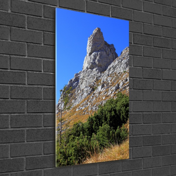 Quadro vetro verticale Piccolo Giewont, Monti Tatra