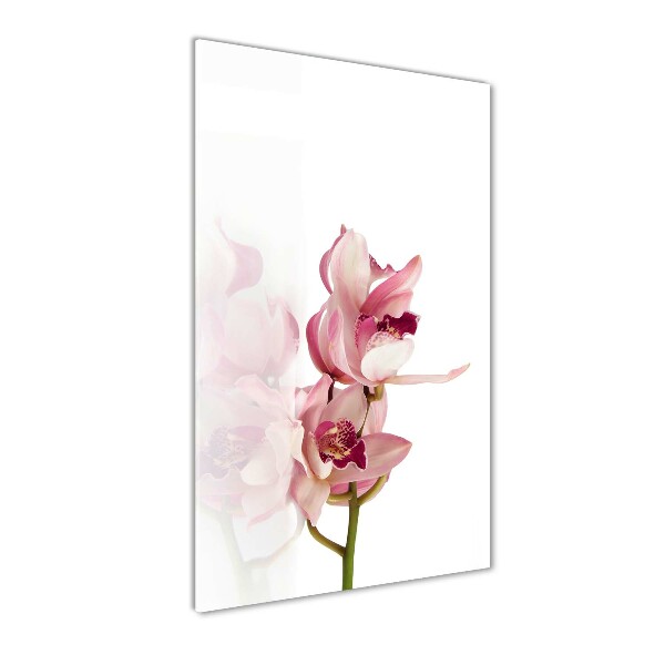 Quadro di vetro verticale Orchidea rosa