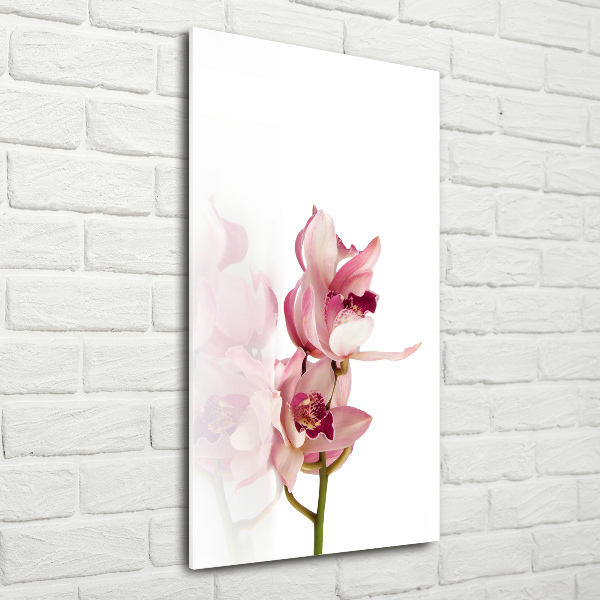 Quadro di vetro verticale Orchidea rosa