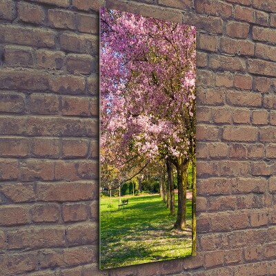 Quadro in vetro verticale Alberi di ciliegio