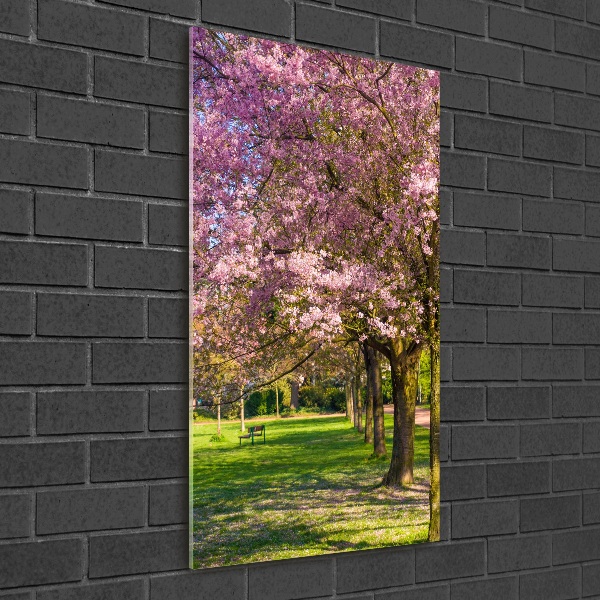 Quadro in vetro verticale Alberi di ciliegio