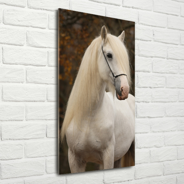 Quadro in vetro verticale Cavallo bianco