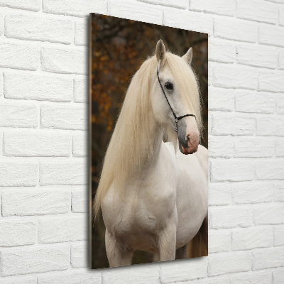 Quadro in vetro verticale Cavallo bianco