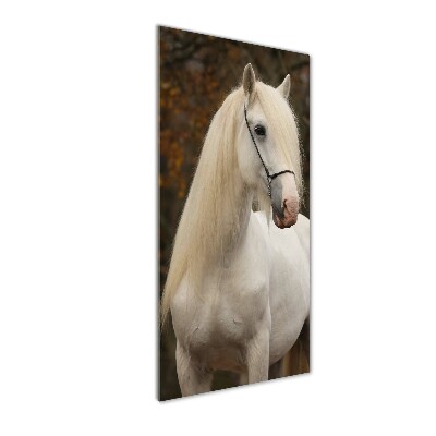Quadro in vetro verticale Cavallo bianco