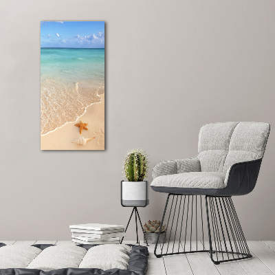 Quadro di vetro verticale Stelle marine sulla spiaggia