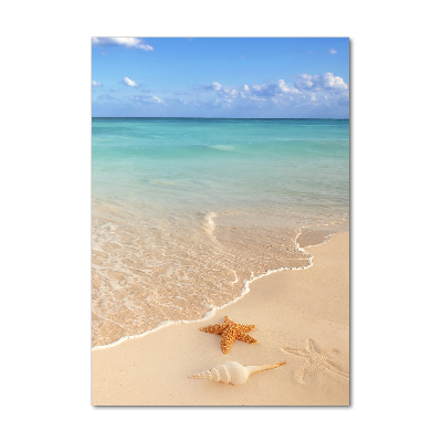 Quadro di vetro verticale Stelle marine sulla spiaggia