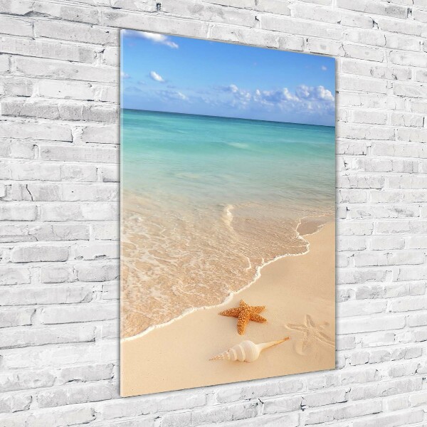Quadro di vetro verticale Stelle marine sulla spiaggia