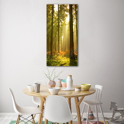 Quadro vetro verticale Bellissima foresta