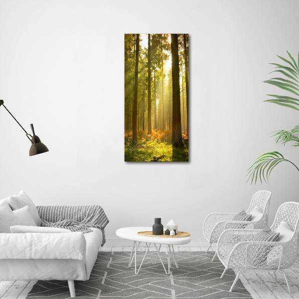 Quadro vetro verticale Bellissima foresta