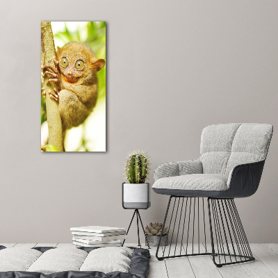 Quadro vetro verticale Tarsio fantasma