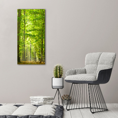 Quadro vetro verticale Foresta di faggi