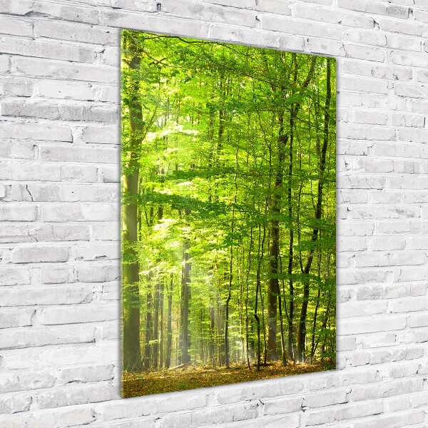 Quadro vetro verticale Foresta di faggi