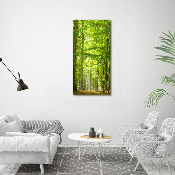 Quadro vetro verticale Foresta di faggi