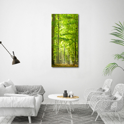 Quadro vetro verticale Foresta di faggi