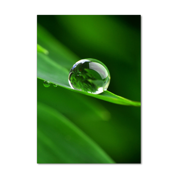 Quadro di vetro verticale Un filo d'erba