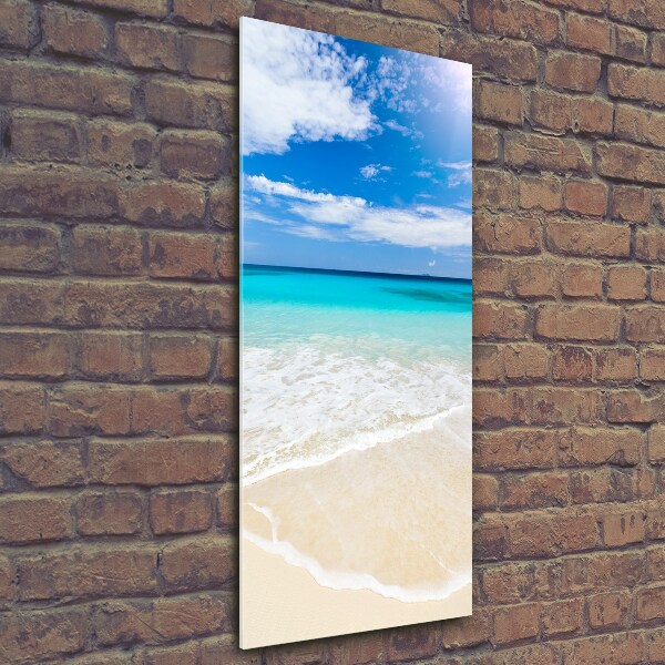 Quadro vetro verticale Spiaggia tropicale