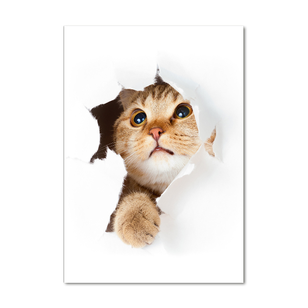 Quadro di vetro verticale Gatto