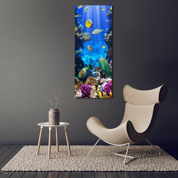 Quadro stampa su vetro verticale Barriera corallina