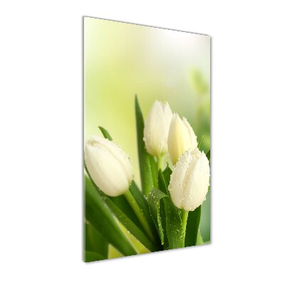 Quadro vetro verticale Tulipani bianchi