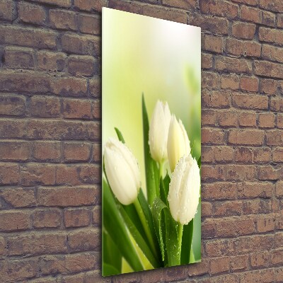 Quadro vetro verticale Tulipani bianchi