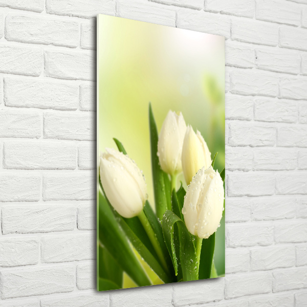 Quadro vetro verticale Tulipani bianchi